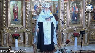 Не боїмся, ні вуличных, ні законодавчых заборон УПЦ, бо с нами Бог! 15.05.2024, прот. Димитрій Сидор