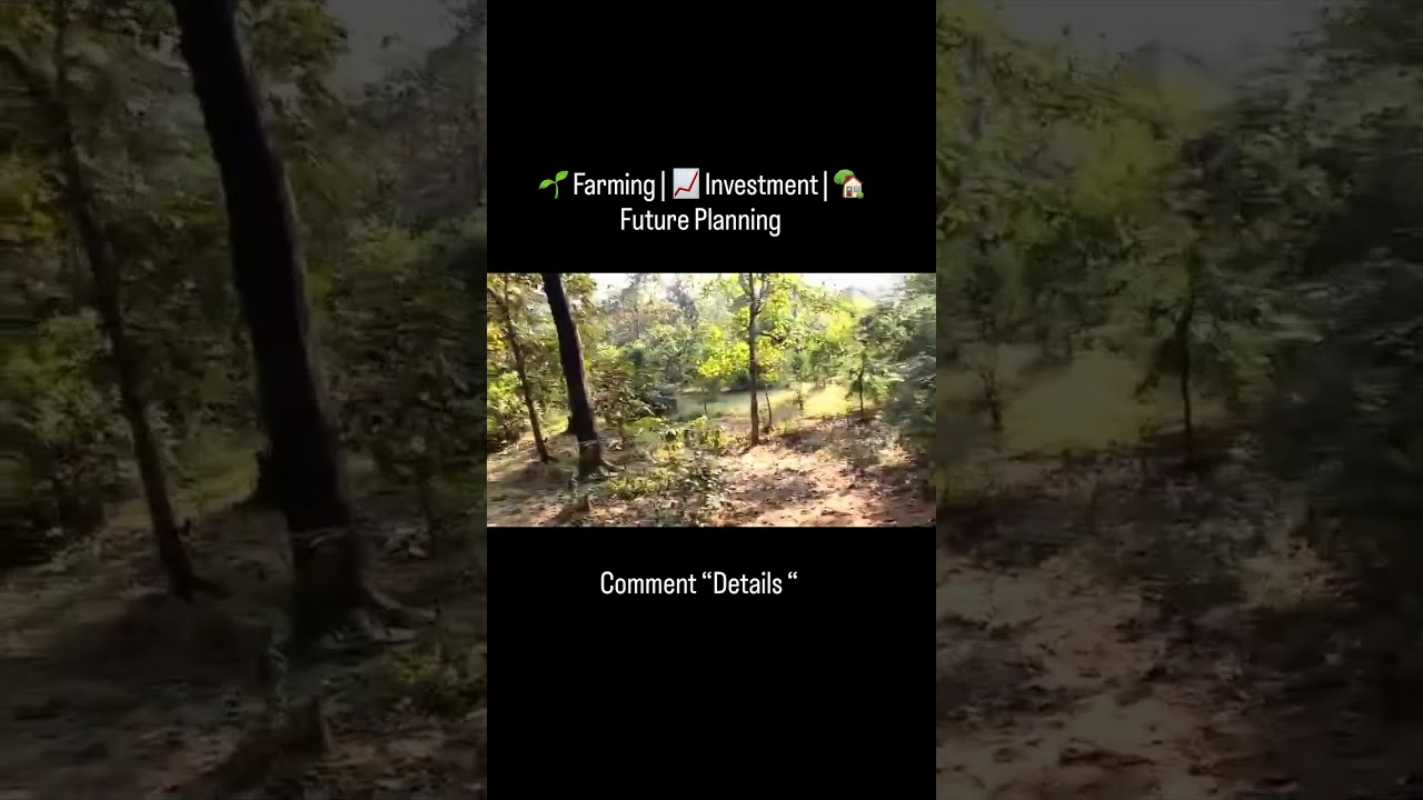 🚨 Limited Time Land Deal! 🚨📍 Paraswara ke paas 12 km radius ke andar🌾 Total 20 Acre Zameen