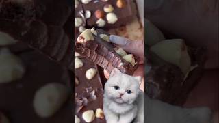 Kahve Dünyasının Fındıklı Bayram Çikolatasını Deniyorum