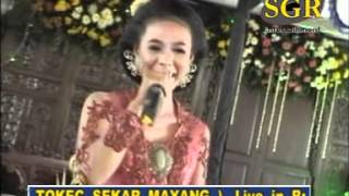 pacobaning-urip-by-campursari-tokek-sekar-mayank-call-628122598859