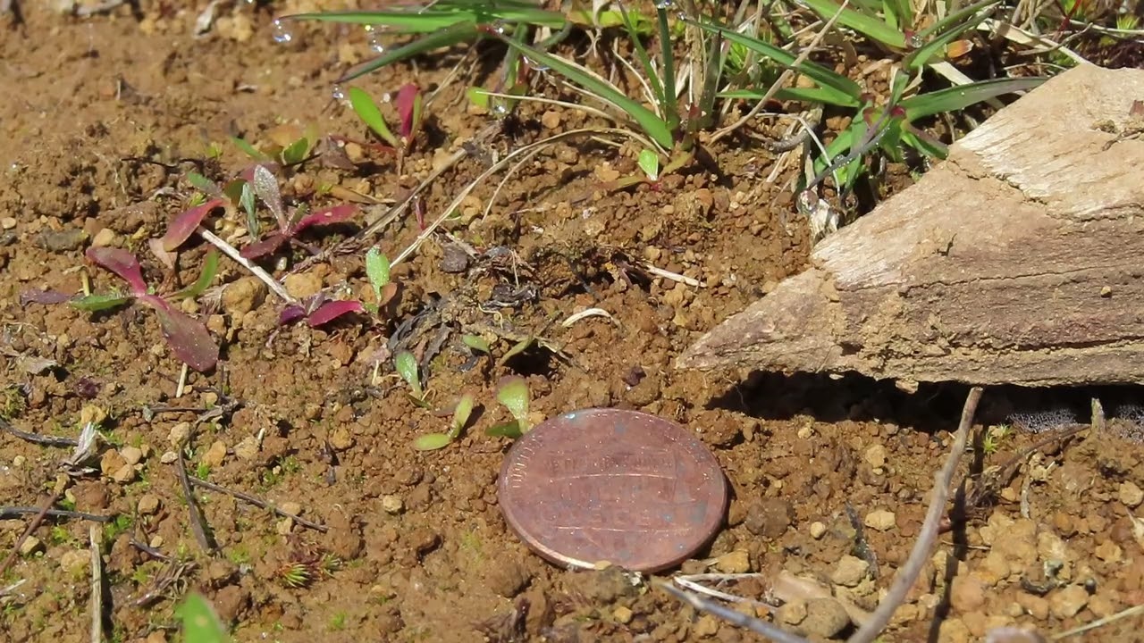 20240410 104349 MVI 3386