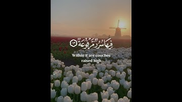 فِی جَنَّةٍ عَالِیَةࣲ )🌸 سورة الغاشية 🪴القارئ عبدالرحمن مسعد 🤍🌿