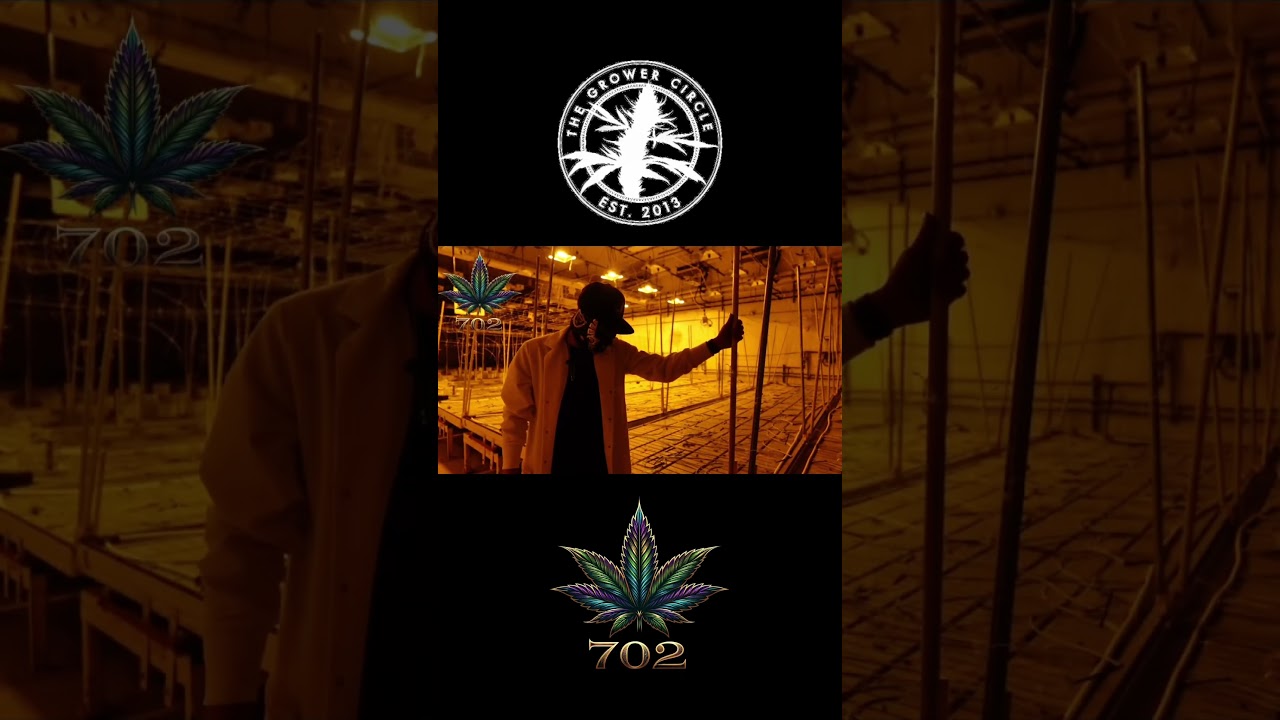 🌱 Inside The Grower Circle Licensed Cultivation Facility (Las Vegas)