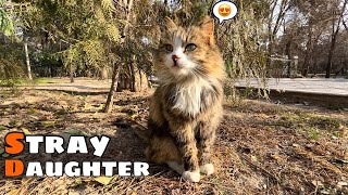 My stray fluffy Girl is cute, she is licking herself by Cats Land 361 views 2 months ago 1 minute, 51 seconds