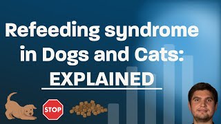 Refeeding syndrome in dogs and cats