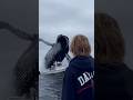 Humpback Whale Slams Into Fishing Boat in Sudden Ocean Chaos 혹등고래가 어선에 돌진, 바다 위 혼란 발생 ザトウクジラが漁船に激突、海