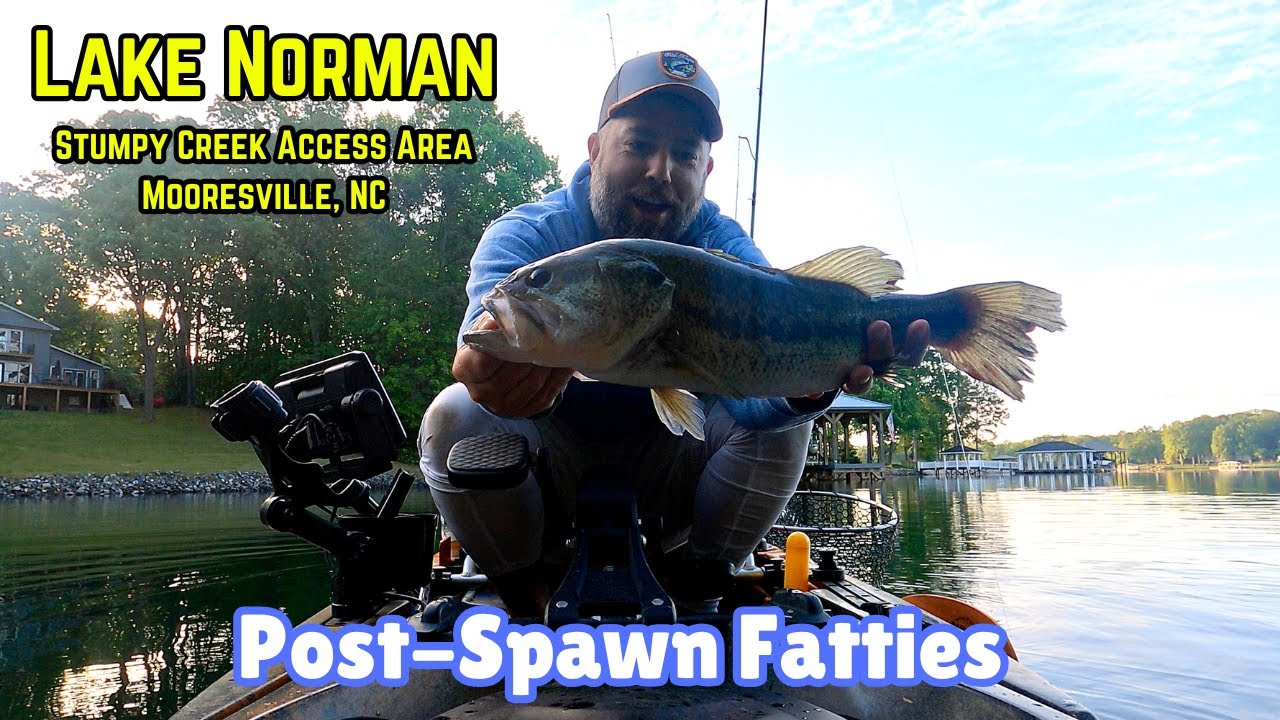 Lake Norman Kayak Bass Fishing – Stumpy Creek Access Area – Mooresville, NC – Shakey Head & Buzzbait