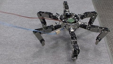 Asterisk - Omni-directional Insect Robot Picks Up Prey #DigInfo