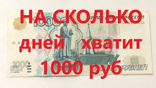 На сколько дней хватит на питание 1000 руб в Сибири?