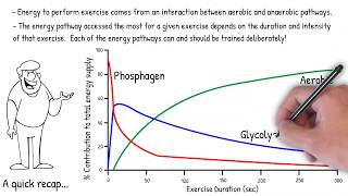 Aerobic and Anaerobic Endurance Prescription and Adaptations