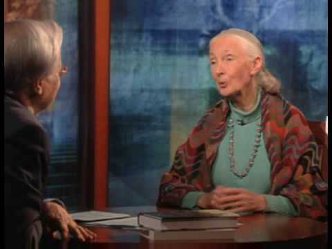 Bill Moyers: Jane Goodall (1)