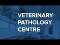 Veterinary Pathology Centre | University of Surrey