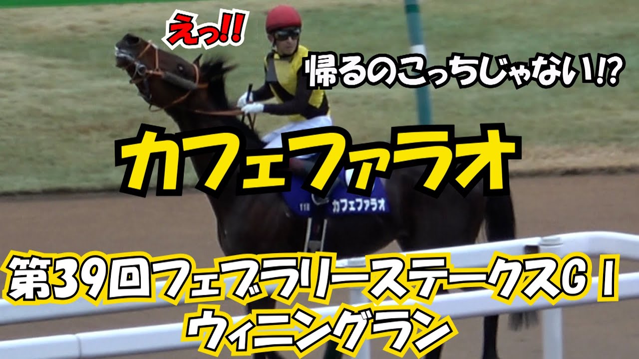 2022 39th February Stakes G1 Winning Run Local Video Cafe Pharaoh