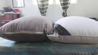 Hilton Pillow Review