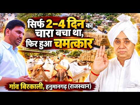गांव बिरकाली, हनुमानगढ़ (RJ) अकाल जैसी स्थिति में 1500 क्विंटल चारा, 220×70 फीट का शेड भी मंजूर।