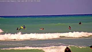 LIVE - SurfCHECK White Plains Beach, Hawai'i