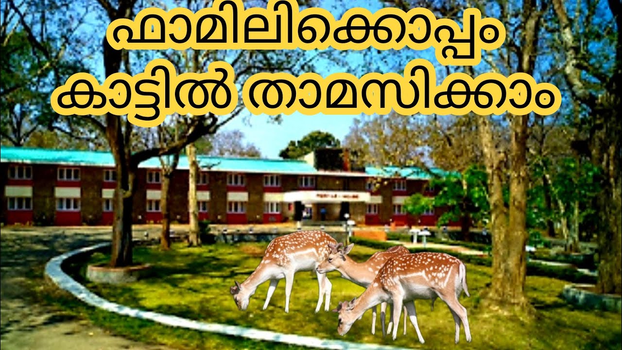 Forest Stay For Family Budget Jungle Lodge Stay KtDC Periyar House