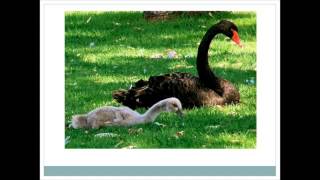 Darwinism Lecture 3 - Module 2