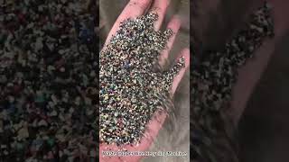 copper wire machine#copper #copperrecyclingmachine  #machine#copperwirecrushingmachine