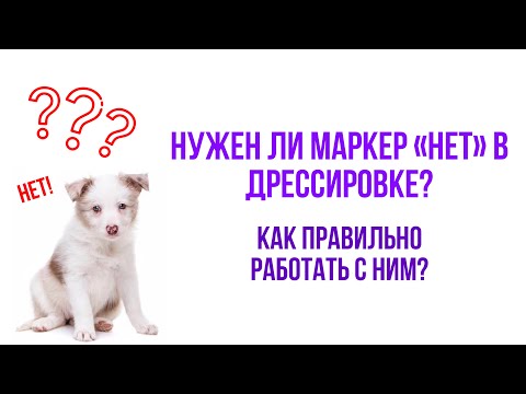 Нужен ли маркер «Нет» в обучении собаки? Бесконфликтная дрессировка вашей собаки