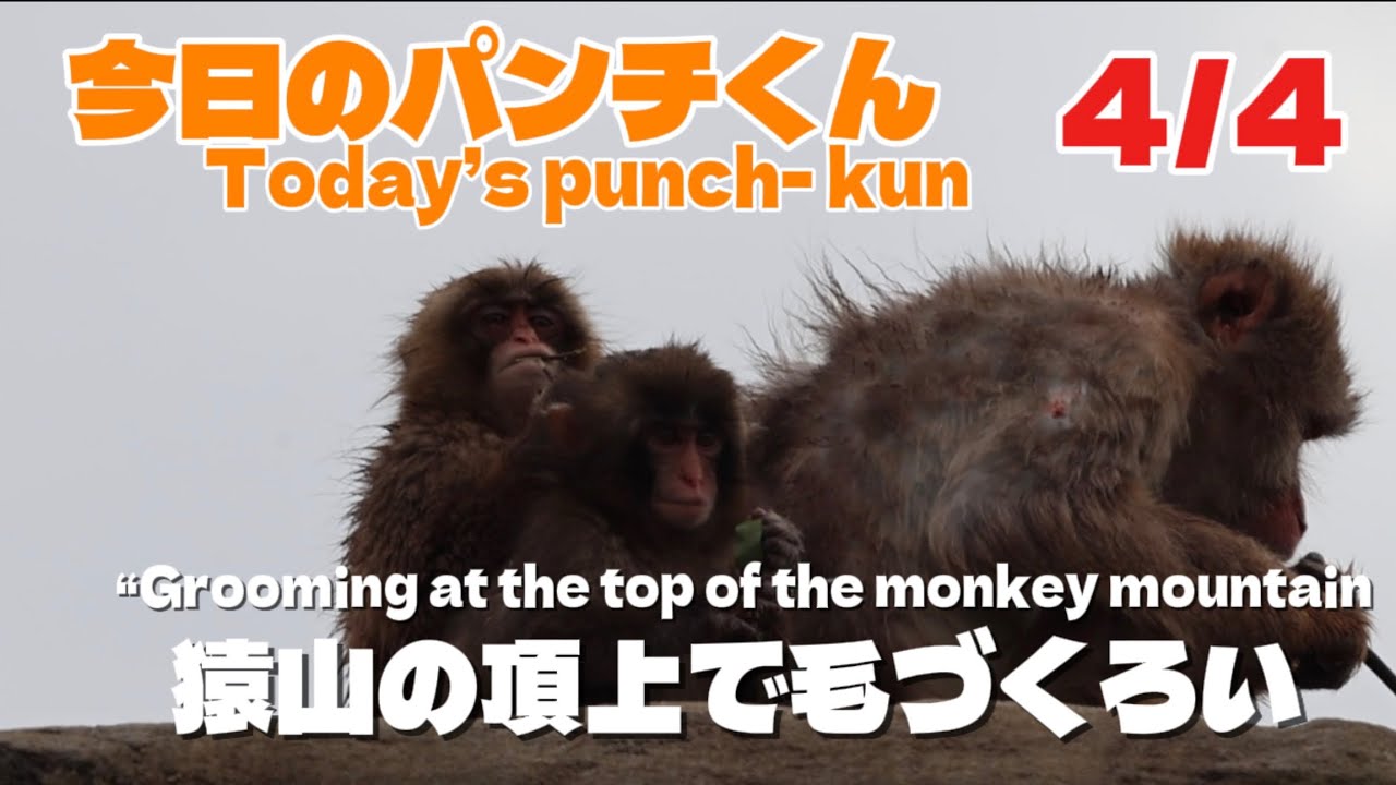 神回】頂上でのご褒美…パンチくん、ついに受け入れられる [Incredible