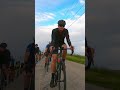 TCC TNR - well that was a thing