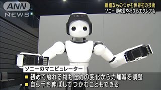 ソニー世界初“人工の手”　絶妙な力で繊細なものも(2021年12月7日)