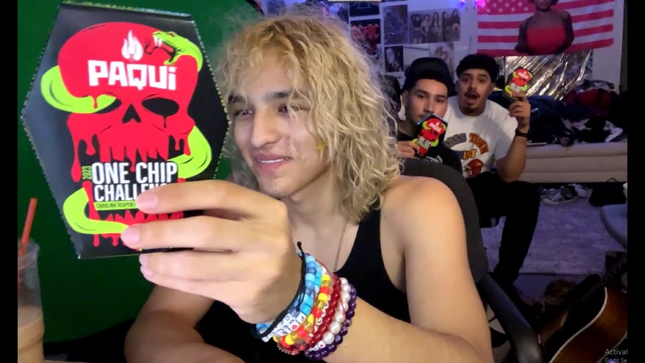 one chip challenge (2023 edition)