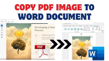 How To Copy PDF Image To Word Document | pdf to word