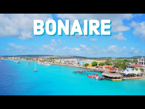 Video: Zasiahol bonaire hurikán?