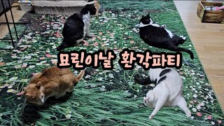 5월5일 우리집 어린이들. 환장파티 했어요.