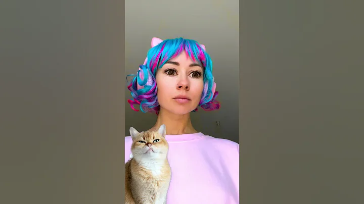 Video 5249201: cats catlover pets, cat pets reaction, cat bath