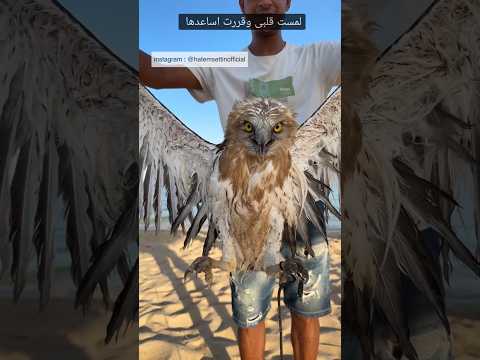 لمست قلبى وقررت اساعدها ٦٠شو مع الدكتور حاتم ستين