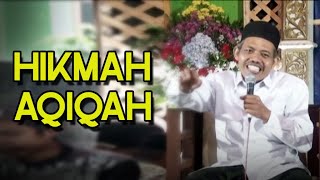 HIKMAH AQIQAH...SUPAYA ANAK AKALNYA HIDUP,BUKAN HANYA MENGANDALKAN NAFSUNYA