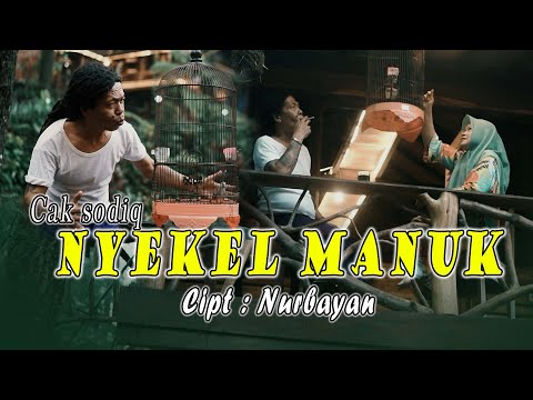 Lala Widy ft. David Chandra - MANUKMU DICOKOT SEMUT ( Versi Lembayung Music ) DUET ROMANTIS