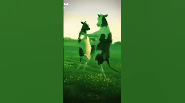 عبودي بودي بودي الي اسمه عبودي بودي خلي يكتب بلتعليقات 