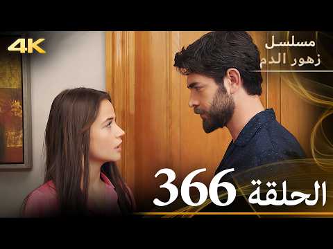 الحلقة 366 مسلسل زهور الدم مدبلج بالعربية   جودة 4