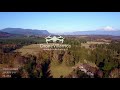 Drone villarrica /Store 2  lago, bosque ,volcan