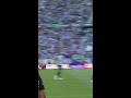 💚⚽️🤍