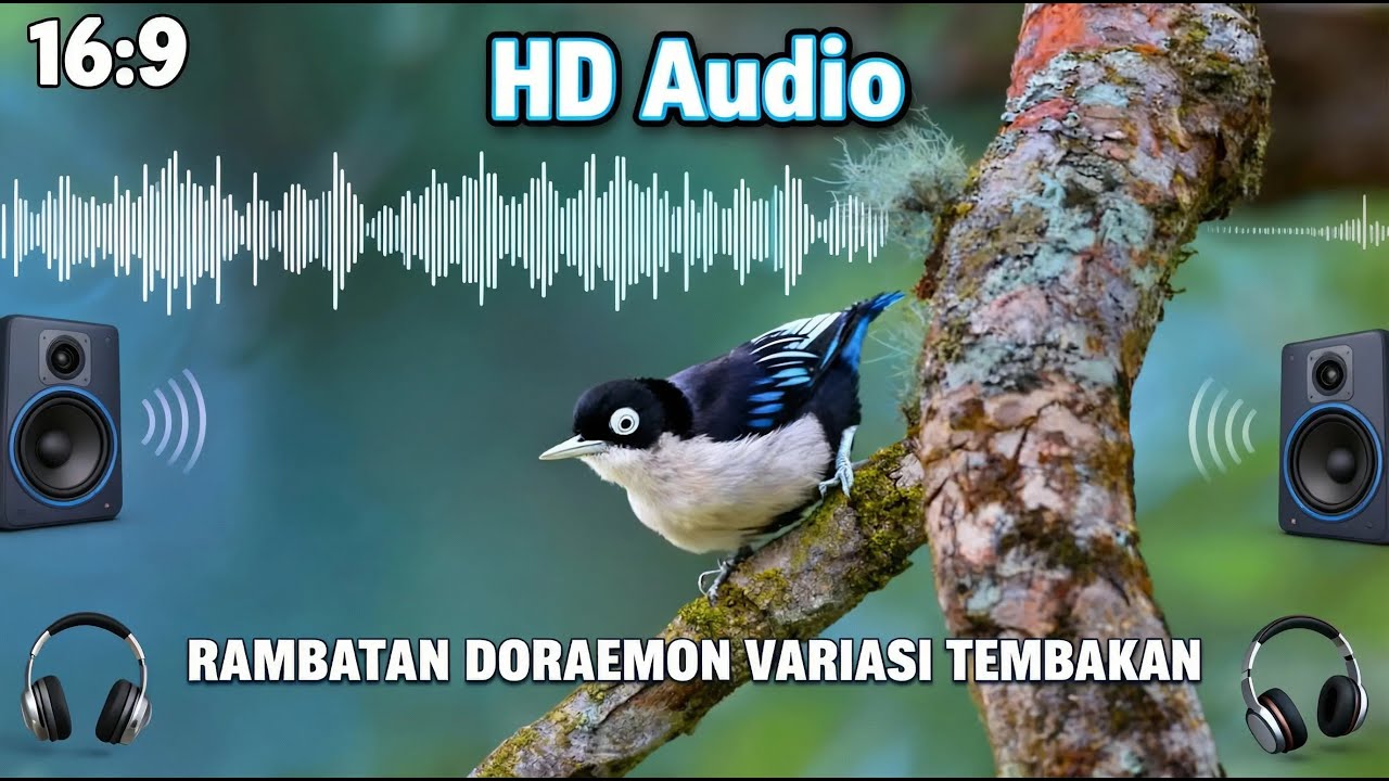BURUNG DORAEMON 🔥 | Suara Lucu Unik Bikin Ketagihan 