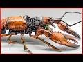 Lhomme transforme les animaux morts en robots poustouflants  coloptre cyborg et homard