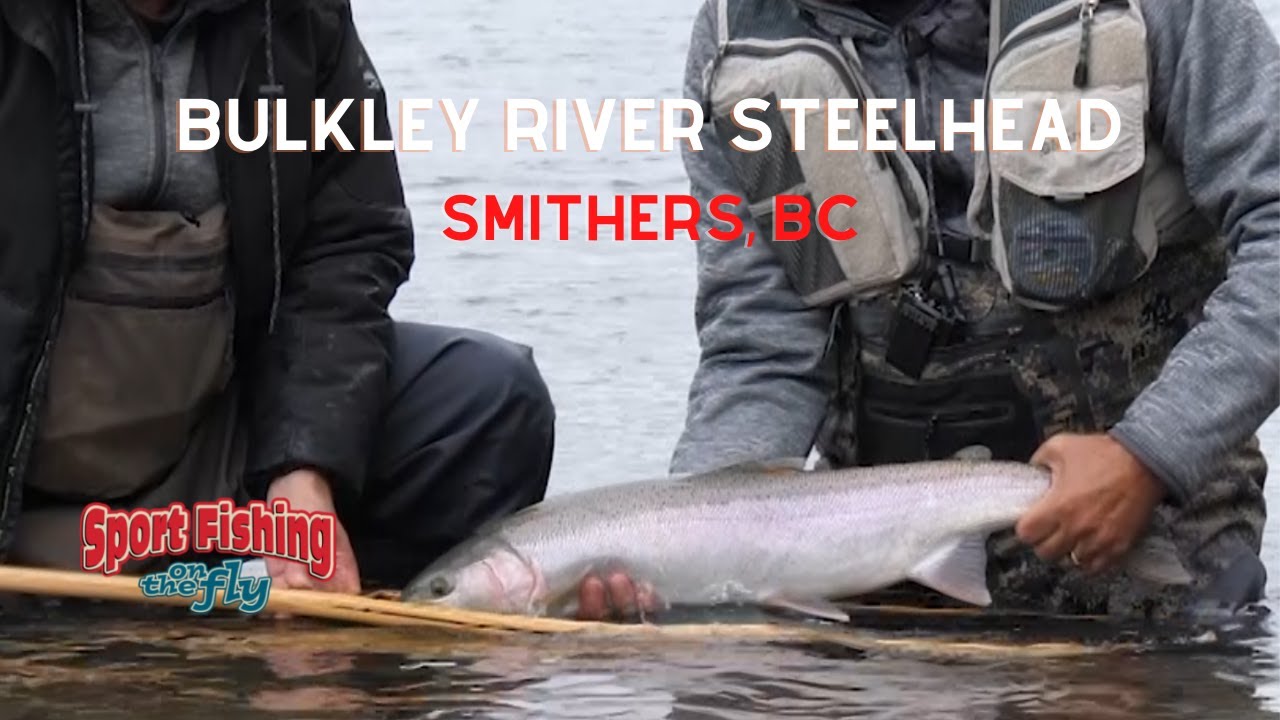 Steelhead Fishing on the Bulkley River - ROUND LAKE COMMUNITY ASSOCIATION