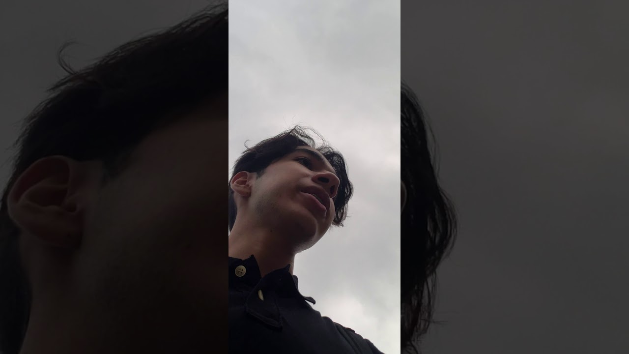 freebirds QXhlbCBBY2lkIFRyaXAgUDI=