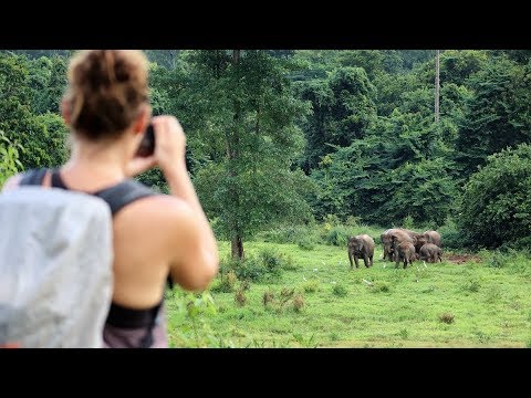 Kui Buri National Park, Thailand - Elephant, Elephant, Elephant!!! - Season 2 Ep41 - S/V Adventurer