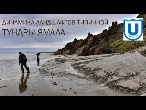Динамика ландшафтов типичной тундры восточного побережья Ямала у поселка Сё-Яха