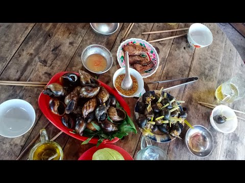 Video Lần Đầu Ăn Thử Ốc Sên (Ốc Ma) Nướng, Tưởng Không Ngon,... - youtube