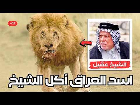 القصة الكاملة للشيخ عقيل فخر الدين بعد ما الاسد الاليف أكل نصه التحتاني حادثة العراق
