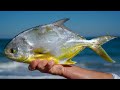 Most VALUABLE Fish at the Beach! Catch Clean Cook (Beach Pompano Fishing)