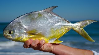 Most VALUABLE Fish at the Beach! Catch Clean Cook (Beach Pompano Fishing)