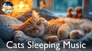 видео: 3 часа музыки для сна под кошачью музыку 🐱 Спокойная музыка для глубокого расслабления (БЕЗ РЕКЛАМЫ) картинка: 3 часа музыки для сна под кошачью музыку 🐱 Спокойная музыка для глубокого расслабления (БЕЗ РЕКЛАМЫ)